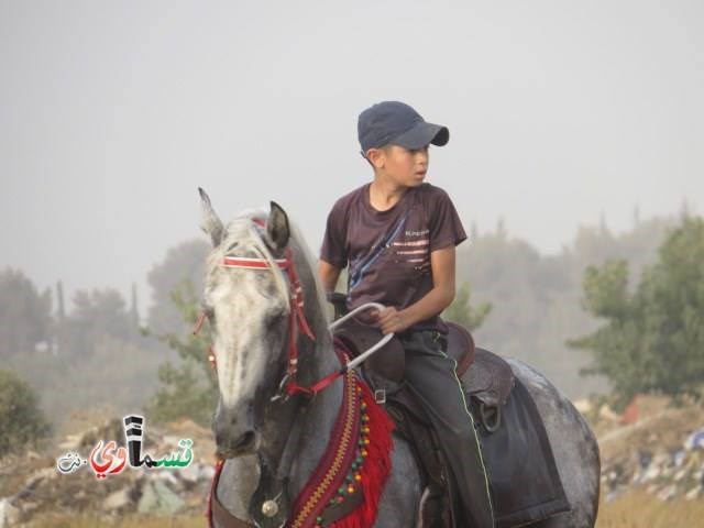 فيديو : فتيان وشباب كفرقاسم في مهرجان الخيول القسماوية في سهل البلدة .. لكن ينقصهم الدعم والرعاية من البلدية  